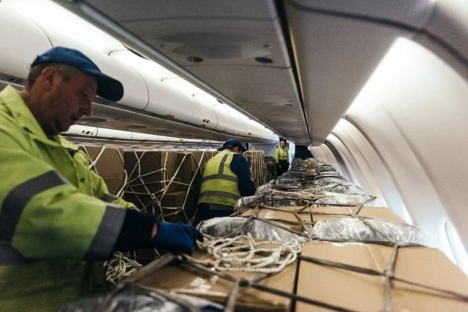 Airlines 'survive' by carrying goods 4